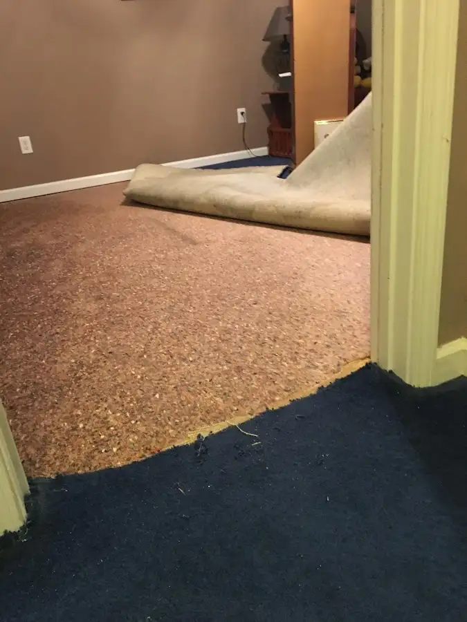 Carpet pad removal revealing water damage during Drying & Dehumidification in Callaway