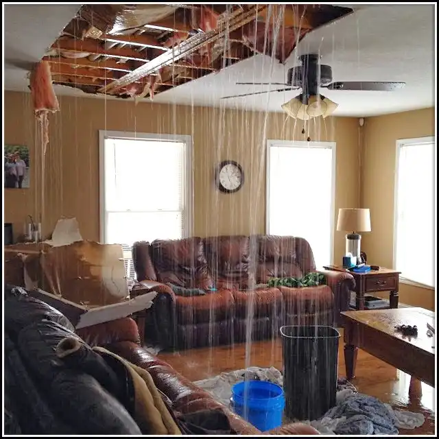 Water Damage Restoration services in Callaway, FL